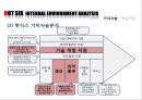 핫식스 제품분석과 SWOT분석및 핫식스 현재 마케팅전략분석및 핫식스 향후 국내외 마케팅전략 제안 PPT 19페이지