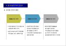 글로벌전략의 모형과 분석절차 4페이지