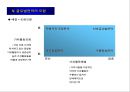 글로벌전략의 모형과 분석절차 24페이지
