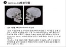 A+  데미안허스트 작품연구및 작가탐구 자료입니다 15페이지