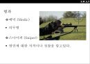 미국 경찰 대테러 부대 스와트팀의 이해SWAT(Special weapon Attack Team) 17페이지