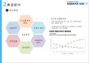 대한항공 기업분석과 환경분석및 대한항공 조직분석및 조직구조 개편사례분석과 대한항공 향후전략제안 PPT 6페이지