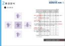 대한항공 기업분석과 환경분석및 대한항공 조직분석및 조직구조 개편사례분석과 대한항공 향후전략제안 PPT 17페이지