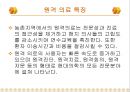 원격의료, 원격의료 정의, 원격의료의 형태, 원격의료시스템, 국내외 원격의료 추진 동향, 원격의료의 활성화를 위한 과제 7페이지