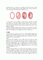 성인 간호 심근경색증 케이스 스터디 2페이지