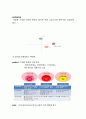 버거킹 기업분석과 버거킹 마케팅 SWOT,STP,4P전략분석및 버거킹 경영전략 사례연구 11페이지