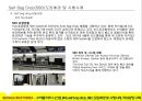 ★ 항공물류론 - SELF BAG DROP SYSTEM ( 수하물 처리 시스템, BHS, self bag drop, SBD, 도입배경 및 시행사례, 국내공항 구축 ) 16페이지