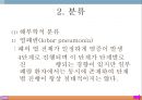 폐렴, 폐렴정의, 폐렴분류, 폐렴병태생리, 폐렴빈도, 폐렴위험요인, 폐렴증상, 폐렴치료, 폐렴합병증, 폐렴예후, 폐렴 케이스스터디, ICU Case Study, Pneumonia, 4페이지