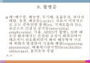 폐렴, 폐렴정의, 폐렴분류, 폐렴병태생리, 폐렴빈도, 폐렴위험요인, 폐렴증상, 폐렴치료, 폐렴합병증, 폐렴예후, 폐렴 케이스스터디, ICU Case Study, Pneumonia, 26페이지