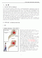 척추관 협착증 Spinal stenosis -A+받은 자료입니다. 3페이지