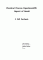 CdS Synthesis 1페이지