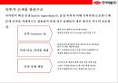 글로벌 제약회사로 떠오르는 한미약품[ Hanmi Pharmaceutical Co.,  Ltd. ,  韓美藥品(株) ] 경영분석  - 한미약품 경영분석 14페이지