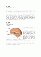 [성인간호학] Epilepsy 간질 case study 2페이지