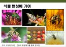 곤충의 이해(곤충의 구조.곤충의 번성이유.생태계에서의 역할.익충.해충.식량자원) 12페이지
