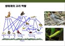 곤충의 이해(곤충의 구조.곤충의 번성이유.생태계에서의 역할.익충.해충.식량자원) 14페이지