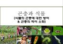 곤충과 식물(식물의 곤충에 대한 방어& 곤충의 먹이 소화) 1페이지