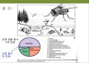 곤충과 식물(식물의 곤충에 대한 방어& 곤충의 먹이 소화) 4페이지