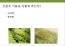 곤충과 식물(식물의 곤충에 대한 방어& 곤충의 먹이 소화) 17페이지