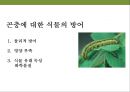 곤충과 식물(식물의 곤충에 대한 방어& 곤충의 먹이 소화) 31페이지