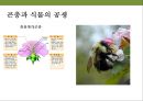 곤충과 식물(식물의 곤충에 대한 방어& 곤충의 먹이 소화) 46페이지