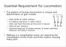 선행적 자세 조절 ( Anticipatory postural adjustment, APA ) 11페이지