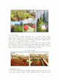 옥상녹화사례 : 옥상녹화의 사례 분석 ; 옥상녹화의 효과와 특성 18페이지