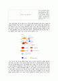 진쟝(Jinjiang) 중국 최대의 호텔체인 기업의 성공 경영전략  (진쟝 중국호텔 체인) 8페이지