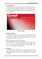 아웃도어 의류 및 용품 등 제품 관련 소재(素材) 조사 레포트 28페이지