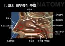 응급간호학 코피 epistaxis 비골 골절 nasal bone fracture 발표 자료 3페이지