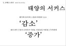 태양의 서커스 성공 전략[블루오션 전략]사례분석  (블루오션 사례분석) 19페이지