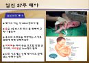 수정과 태아 발달(배란,수정,착상,임신4주~임신40주까지 태아 정리)A++++++ 33페이지