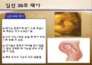 수정과 태아 발달(배란,수정,착상,임신4주~임신40주까지 태아 정리)A++++++ 34페이지