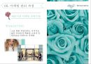 티파니 앤코 브랜드 마케팅전략(Tiffany&Co Brand marketing) 17페이지