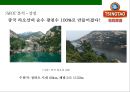 칭다오맥주 마케팅전략 TSINGTAO beer Marketing Strategy 12페이지