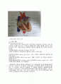 심장, 심장질환 레포트 8페이지