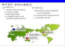 한국 반도체산업과 중국 반도체산업의 경쟁 29페이지