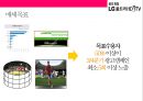 LG UHD TV 마케팅전략[UHD 방송과 TV시장변혁] 32페이지