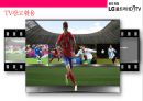 LG UHD TV 마케팅전략[UHD 방송과 TV시장변혁] 48페이지