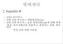 hepatitis, 간염, 간염원인, 간염병태생리, 간염증상, 간염징후, 간염간호, 간염진단, 간염치료, 간염예방, 독성간염, 알코올성간염, 전격성간염, 간염간호과정 11페이지