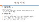 hepatitis, 간염, 간염원인, 간염병태생리, 간염증상, 간염징후, 간염간호, 간염진단, 간염치료, 간염예방, 독성간염, 알코올성간염, 전격성간염, 간염간호과정 12페이지