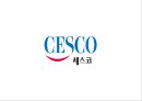 CESCO 세스코 기업분석과 성공요인분석및 세스코 마케팅 SWOT,STP,4P전략분석및 세스코 향후전략방안제안 PPT 1페이지