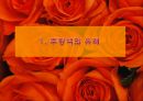 주황색 유래.의미와상징.마케팅사례[Orange color derived meanings and symbols. Marketing Case] 3페이지