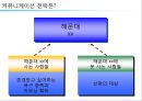 해운대 주상복합 xx아파트 커뮤니케이션 전략[Haeundae Apartments Communication strategy] 43페이지