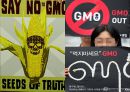 GMO란 무엇인가,유전자 변형 농수산물 GMO,다양한 GMO의 개발 가능성,의료분야의 활용,유전자 조작 식물 백신 연구,유전자 변형 먹거리(GMO)의 진실 10페이지