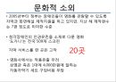 수화의 공식언어화,수화란,장애인 소외 문제 장애인교육권,사회문화적 대안 19페이지