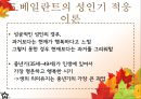 성인발달의 주요 이론,심리성적 발달이론,자아발달이론,발달과업이론,도덕성 발달이론 22페이지