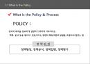 한국 행정론,정책네트워크,선거와 정책의 상관관계,정책집행체계,정책의 집행 및 집행체계,정책집행체계분석을 위한 이론 4페이지