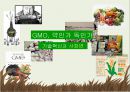 GMO,기술혁신과 사회변화,유전자변형식품,GMO의 종류,유전자 변형과정,GMO의 현황 1페이지