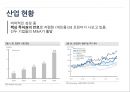 3D 프린트산업,3D 프린트 시장분석,브랜드마케팅,서비스마케팅,글로벌경영,사례분석,swot,stp,4p 6페이지