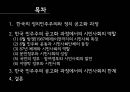 시민사회와 정컸력,한국 민주주의 공고화,한국의 정치민주주의,시민사회의 역할과 한계 2페이지